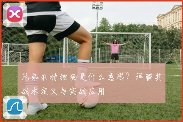 范弗利特控场是什么意思？详解其战术定义与实战应用