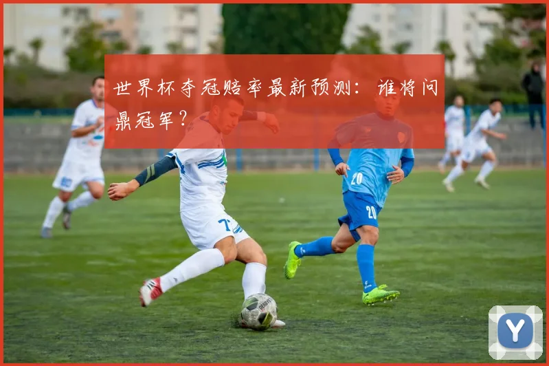 世界杯夺冠赔率最新预测:谁将问鼎冠军?