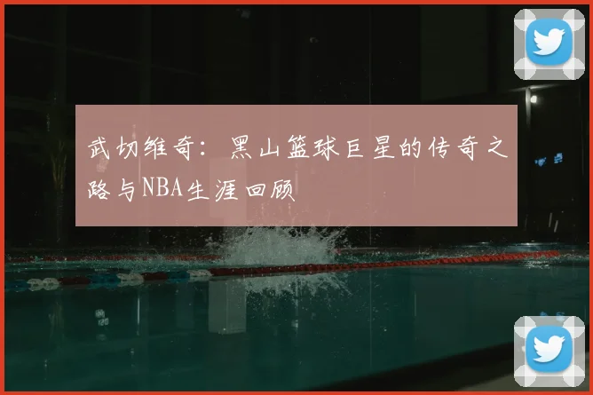 武切维奇：黑山篮球巨星的传奇之路与NBA生涯回顾